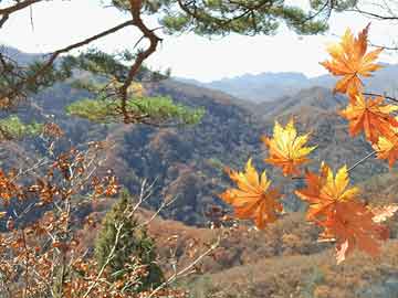 澳彩资料大全免费网站	峨眉山29岁失联者遇难 警方称系自杀