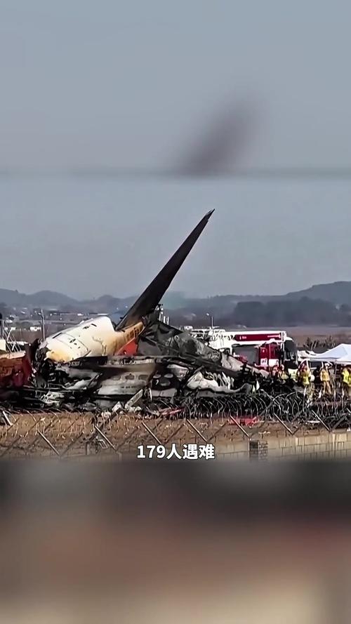 新澳2025资料最新大全和韩国发生飞机坠毁与韩国发生飞机坠毁事件