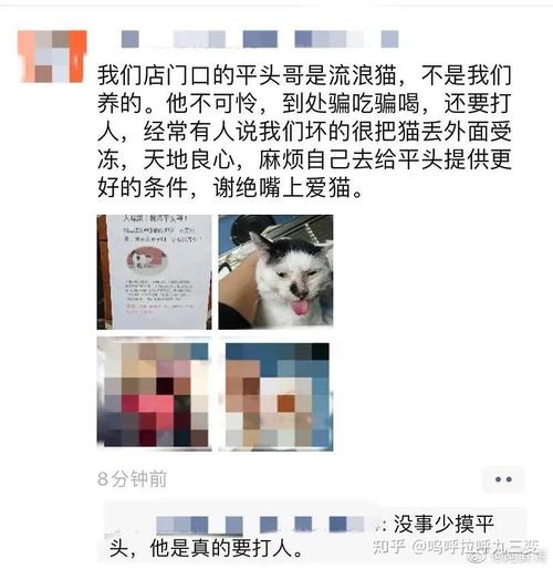 六台彩开奖特马和被狗主人殴打致骨折与狗被打骨折了怎么办