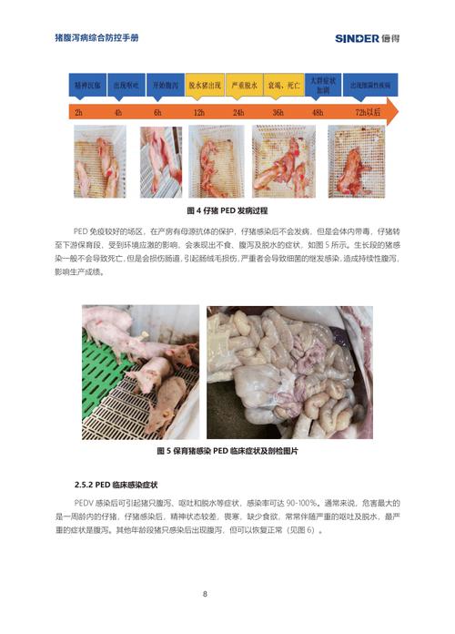 2025新澳门天天开奖免费和牛肉馅大肠杆菌污染与肉制品中大肠杆菌不能超过多少